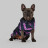 United Pets Easy 50 дождевик для собак, черный с розовым рисунком