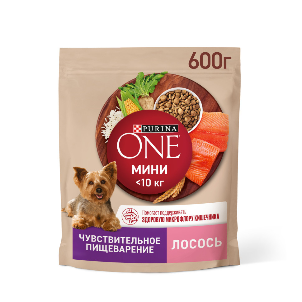 Purina ONE Мини сухой корм для собак мелких пород при чувствительном  пищеварении с лососем - 600 г - купить в Москве | КотМатрос