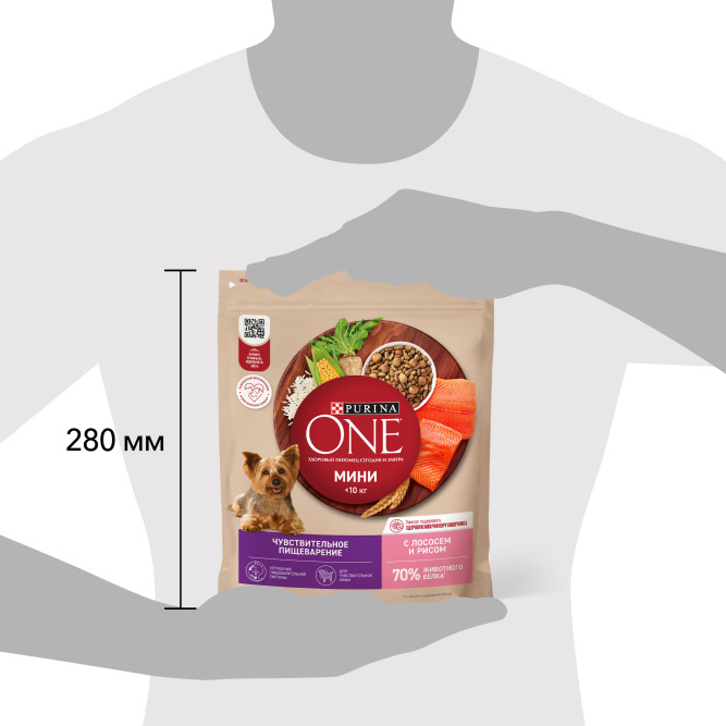 Purina ONE Мини сухой корм для собак мелких пород при чувствительном пищеварении с лососем - 600 г
