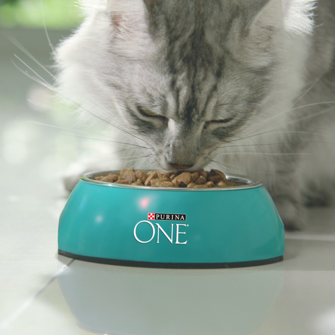 Purina One Природа Здоровья сухой корм для взрослых стерилизованных кошек, с говядиной - 680 г