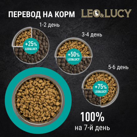 LEO&amp;LUCY сухой холистик корм для взрослых собак мелких пород с телятиной и яблоком - 1,6 кг