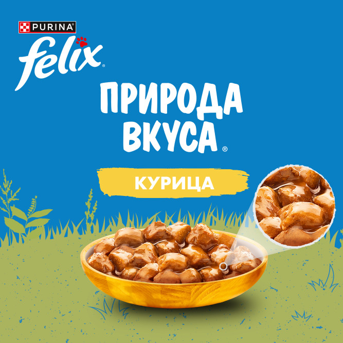 Felix Природа вкуса влажный корм для взрослых кошек с курицей, в паучах - 75 г х 26 шт