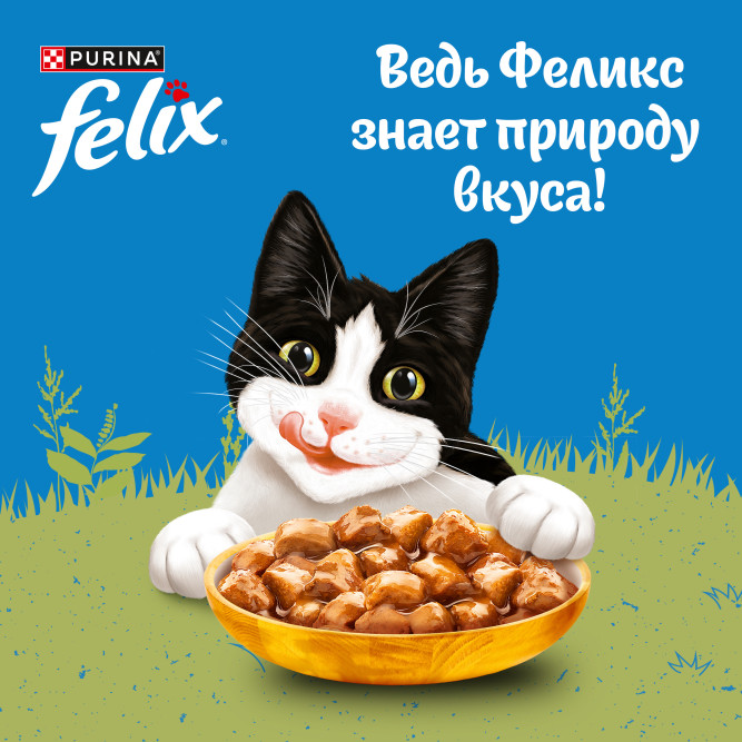 Felix Природа вкуса влажный корм для взрослых кошек с курицей, в паучах - 75 г х 26 шт