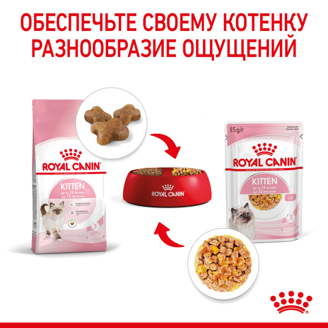 Royal Canin Kitten паучи для котят до 12 месяцев кусочки в желе - 85 г х 24 шт