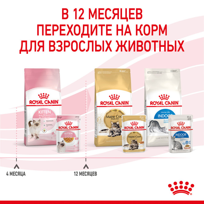 Royal Canin Kitten паучи для котят до 12 месяцев кусочки в желе - 85 г х 24 шт
