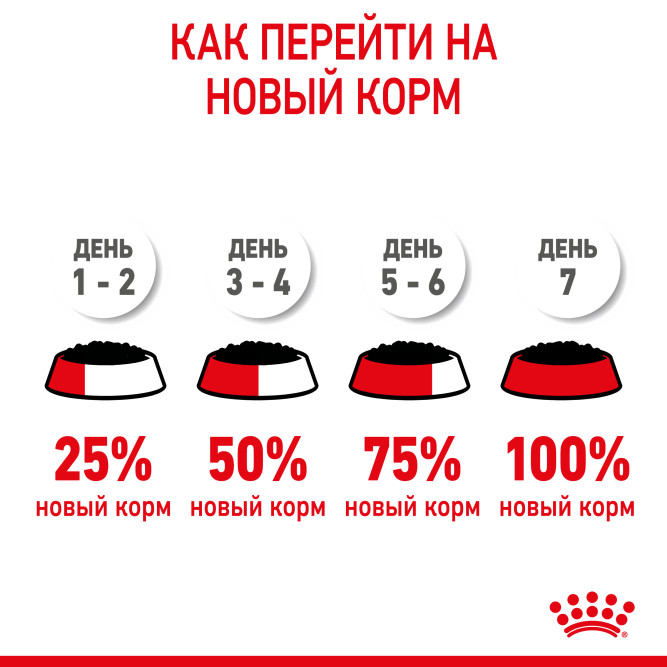 Royal Canin Kitten паучи для котят до 12 месяцев кусочки в желе - 85 г х 24 шт