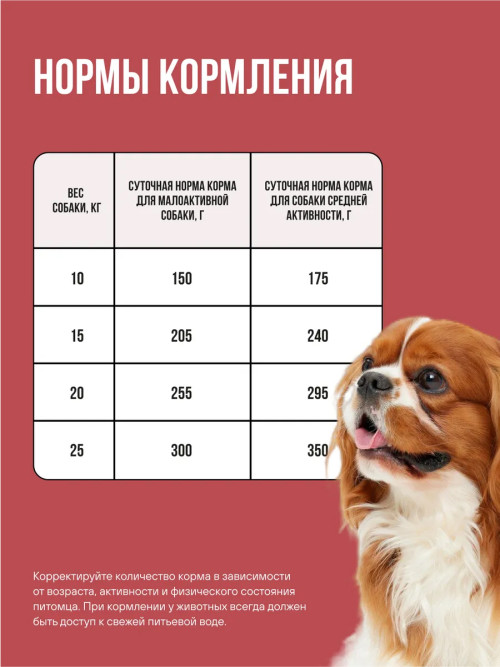 BOWL WOW сухой корм для взрослых собак средних пород с индейкой, курицей, рисом и свеклой - 2 кг