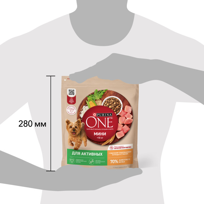 Purina ONE Мини сухой корм для собак мелких пород при активном образе жизни с курицей и рисом - 600 г
