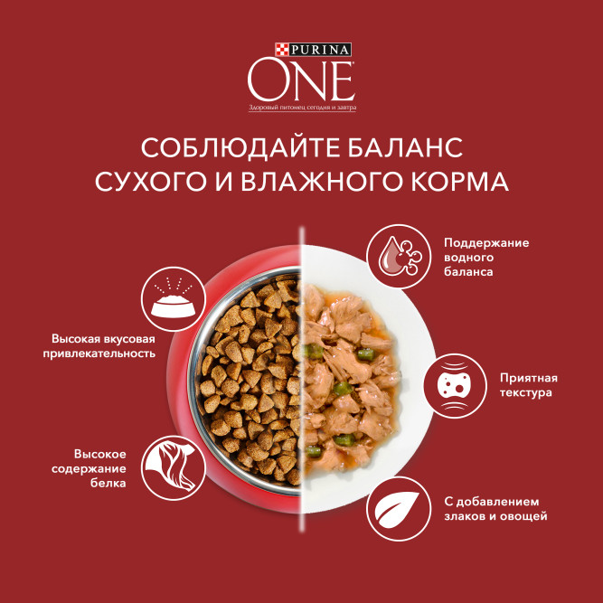 Purina ONE Мини сухой корм для собак мелких пород при активном образе жизни с курицей и рисом - 600 г
