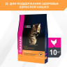 Изображение товара Сухой корм Eukanuba Cat Adult для кошек с птицей - 10 кг