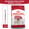 Изображение товара Royal Canin Medium Adult сухой корм для взрослых собак средних пород от 12 месяцев до 7 лет, со свининой - 3 кг