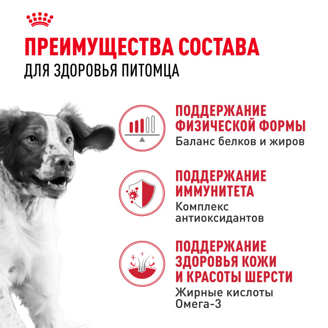 Royal Canin Medium Adult сухой корм для взрослых собак средних пород со свининой - 3 кг