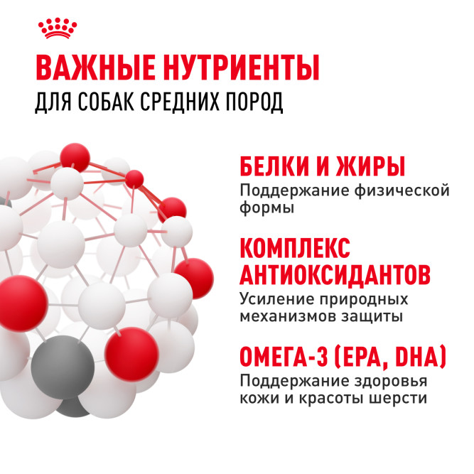 Royal Canin Medium Adult сухой корм для взрослых собак средних пород со свининой - 3 кг