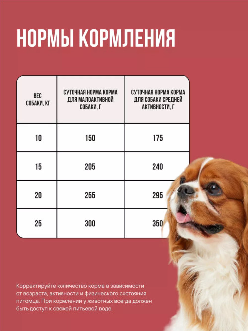 BOWL WOW сухой корм для взрослых собак средних пород с индейкой, курицей, рисом и свеклой - 5 кг