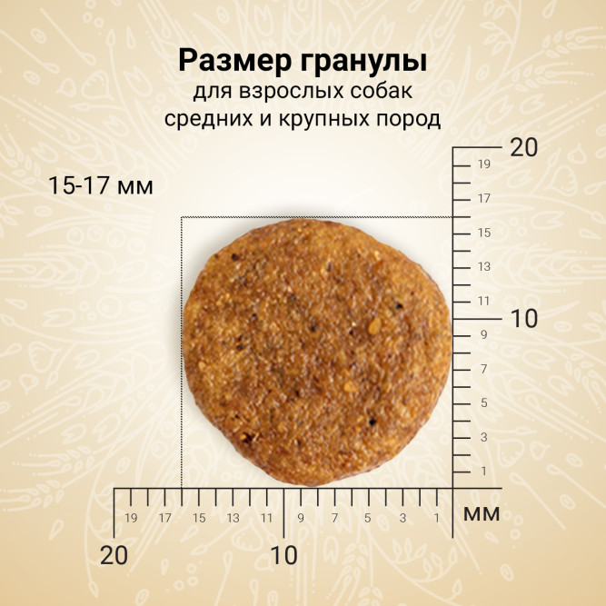 Craftia Natura сухой корм для взрослых собак средних и крупных пород с уткой и фазаном - 7 кг