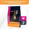 Изображение товара Сухой корм Eukanuba Cat Adult для кошек с птицей - 2 кг