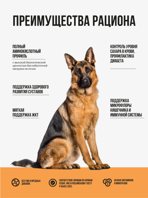 BOWL WOW сухой корм для взрослых собак крупных пород с индейкой, курицей, рисом и тыквой - 2 кг