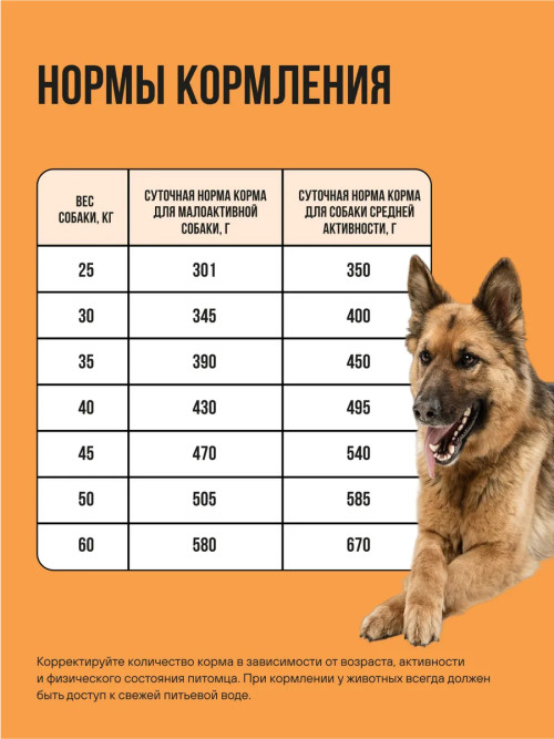 BOWL WOW сухой корм для взрослых собак крупных пород с индейкой, курицей, рисом и тыквой - 2 кг