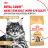 Изображение товара Royal Canin Maine Coon Adult сухой корм для взрослых кошек породы мейн - кун - 10 кг