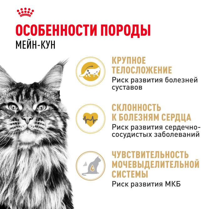 Royal Canin Maine Coon Adult сухой корм для взрослых кошек породы мейн - кун - 10 кг