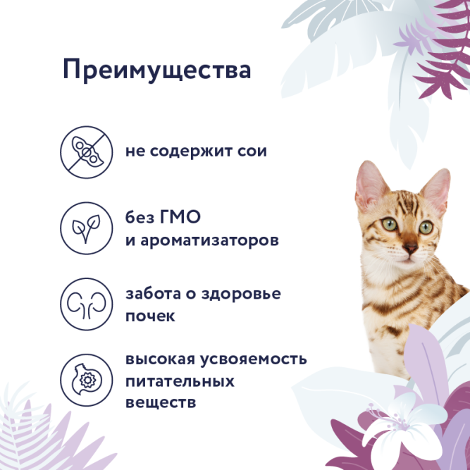 Florida Preventive Line Renal консервы для кошек при профилактике хронической почечной недостаточности, с ягненком - 100 г x 24 шт