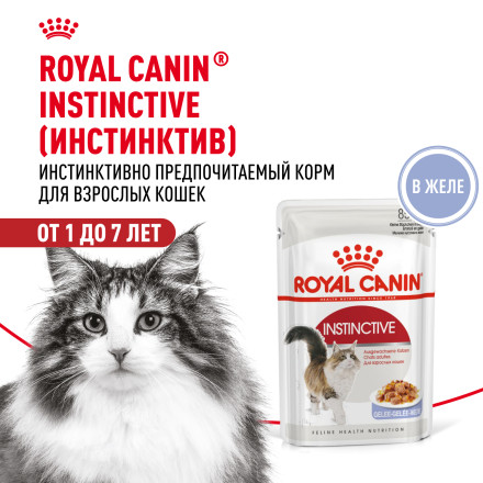 Royal Canin Instinctive паучи для взрослых кошек в желе - 85 г х 24 шт