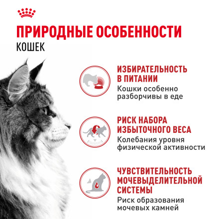Royal Canin Instinctive паучи для взрослых кошек в желе - 85 г х 24 шт