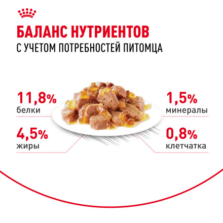 Royal Canin Instinctive паучи для взрослых кошек в желе - 85 г х 24 шт