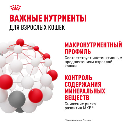 Royal Canin Instinctive паучи для взрослых кошек в желе - 85 г х 24 шт
