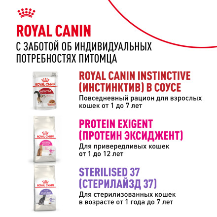 Royal Canin Instinctive паучи для взрослых кошек в желе - 85 г х 24 шт