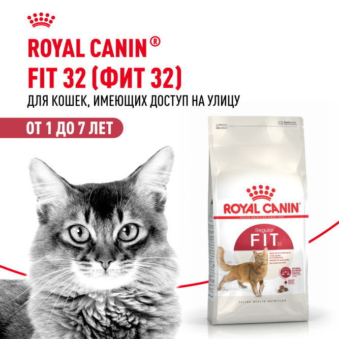 Royal Canin Fit сухой корм для кошек, бывающих на улице - 400 г