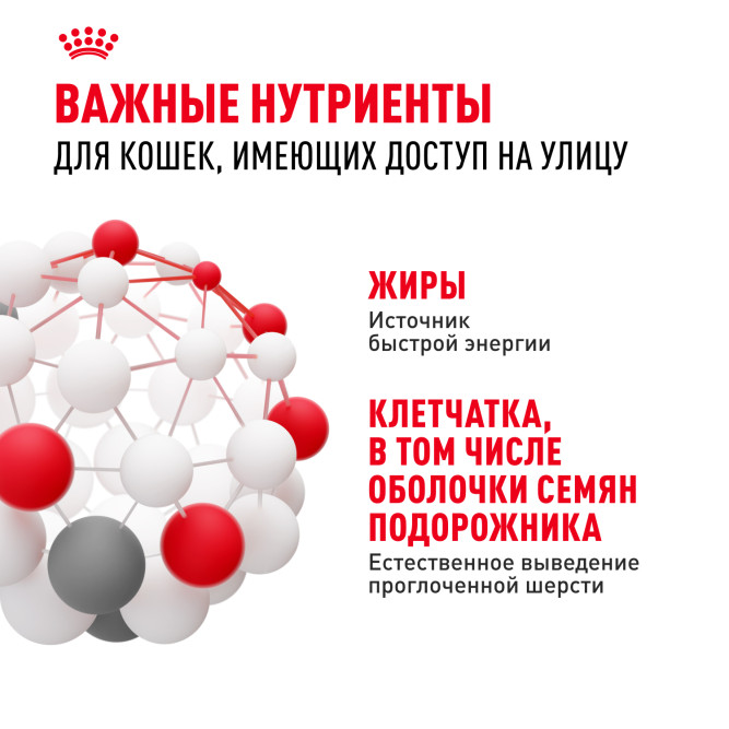 Royal Canin Fit сухой корм для кошек, бывающих на улице - 400 г