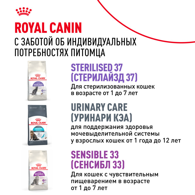 Royal Canin Fit сухой корм для кошек, бывающих на улице - 400 г
