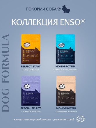 ENSO Dog Formula Monoprotein сухой корм для взрослых собак мелких и миниатюрных пород со свежей белой рыбой и добавлением брокколи - 400 г