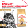 Изображение товара Royal Canin Maine Coon Adult для кошек породы мейн-кун в возрасте старше 15 месяцев - 2 кг