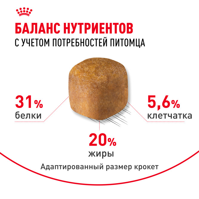 Royal Canin Maine Coon Adult для кошек породы мейн-кун в возрасте старше 15 месяцев - 2 кг