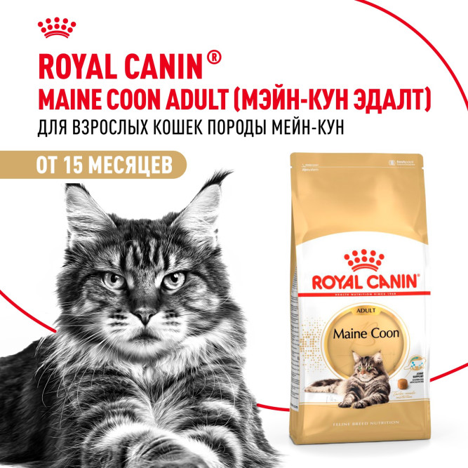 Royal Canin Maine Coon Adult для кошек породы мейн-кун в возрасте старше 15 месяцев - 2 кг