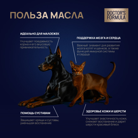 DOCTOR&#039;S FORMULA масло дикой сардины для кошек и собак - 250 мл