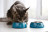 Purina One сухой корм для домашних кошек с индейкой и цельными злаками - 200 г