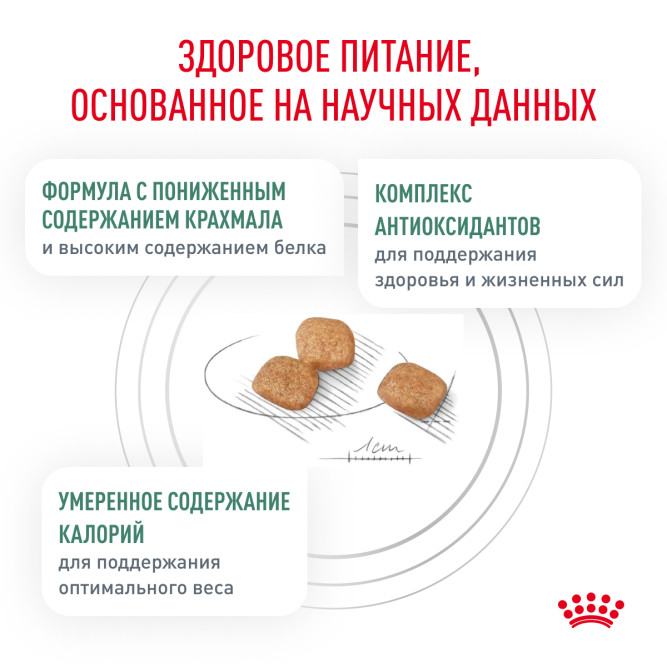 Royal Canin Diabetic лечебный сухой корм для кошек при сахарном диабете - 400 г