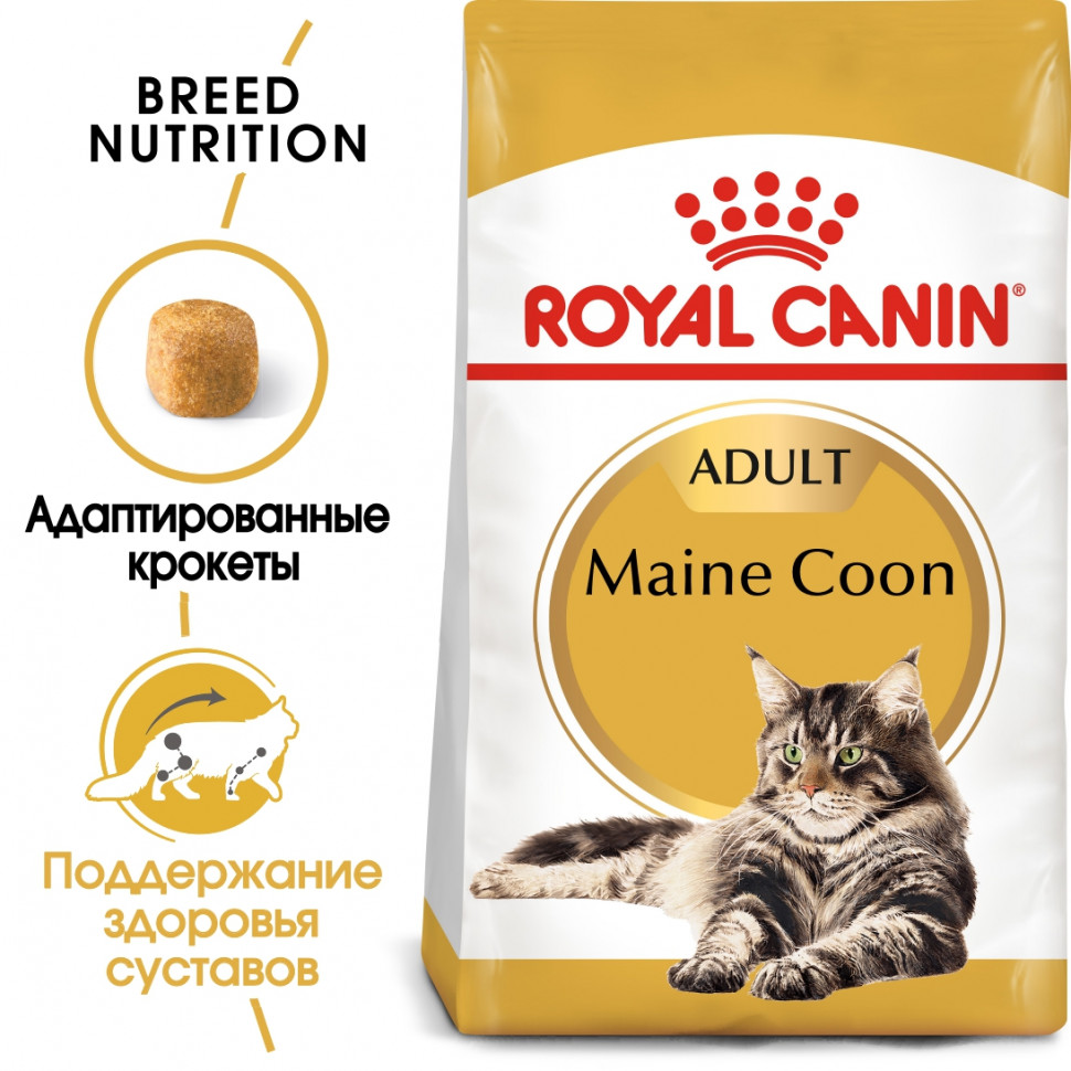 Royal Canin Maine Coon Adult для кошек породы мейн-кун в возрасте старше 15  месяцев - 4 кг - купить в Москве | КотМатрос
