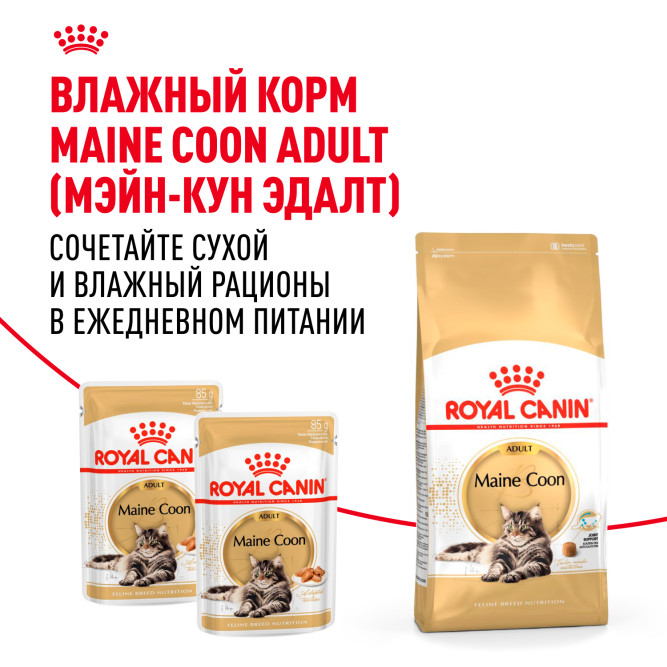 Royal Canin Maine Coon Adult для кошек породы мейн-кун в возрасте старше 15 месяцев - 4 кг
