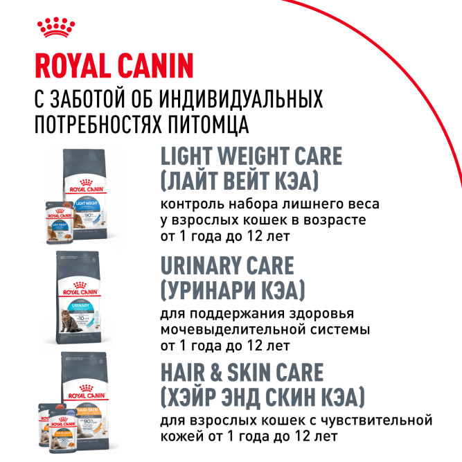 Royal Canin Maine Coon Adult для кошек породы мейн-кун в возрасте старше 15 месяцев - 4 кг