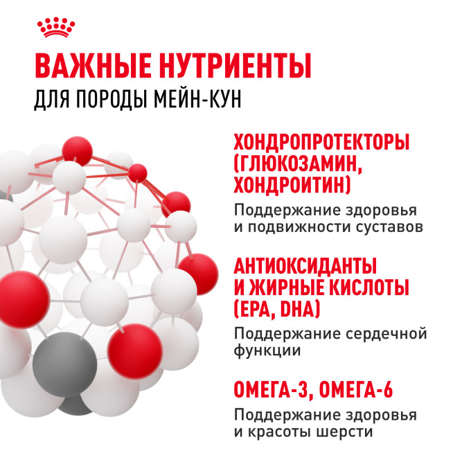 Royal Canin Maine Coon Adult сухой корм для взрослых кошек породы мейн - кун - 400 г