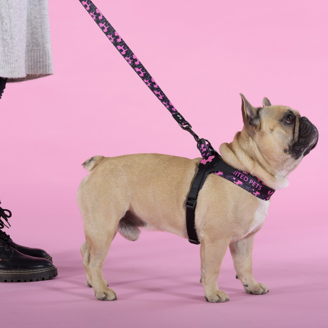 United Pets Complete me Identity шлейка для собак, 2,5 x 40-54 см, черная с розовым