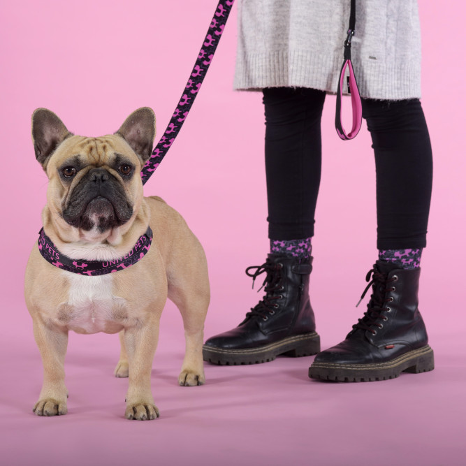 United Pets Complete me Identity шлейка для собак, 2,5 x 40-54 см, черная с розовым