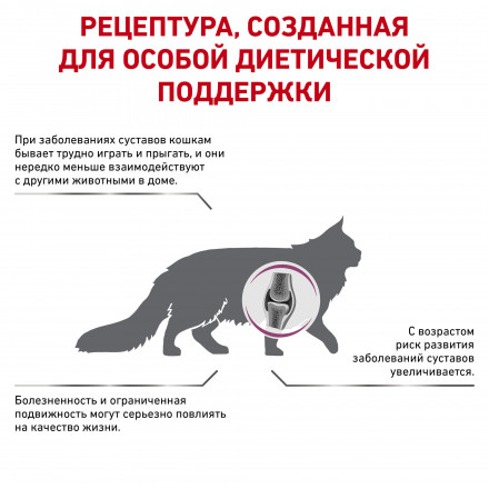 Royal Canin Mobility Support МС28 Feline сухой корм для кошек для увеличения подвижности суставов - 2 кг
