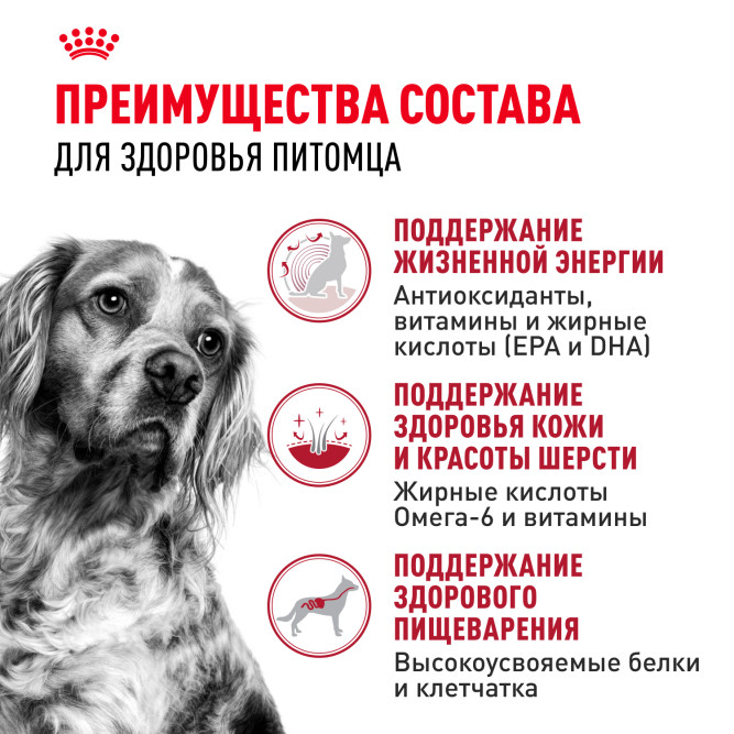Royal Canin Medium Adult 7+ для стареющих собак средних размеров в возрасте 7 лет и старше - 4 кг