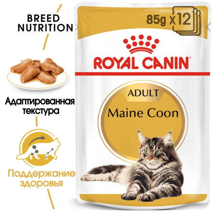 Royal Canin Maine Coon Adult влажный корм паучи в соусе для взрослых кошек породы мейн-кун старше 15 месяцев - 85 г х 12 шт