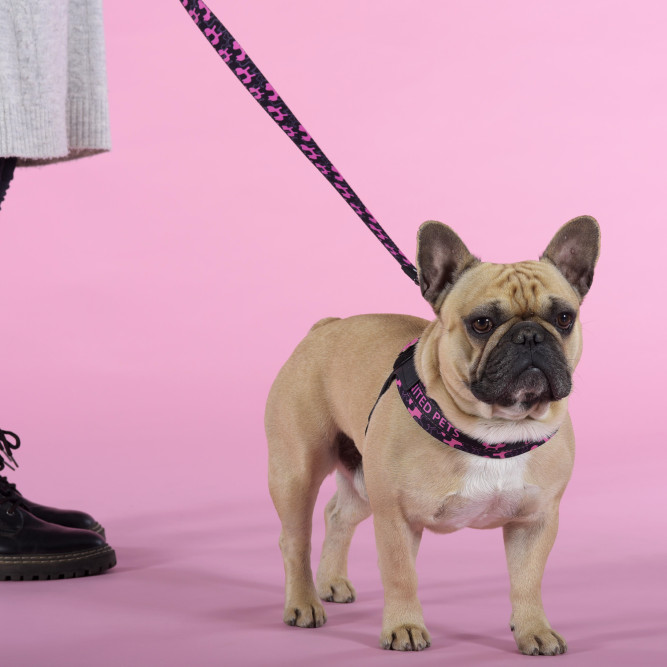 United Pets Complete me Identity шлейка для собак, 3,5 x 48-64 см, черная с розовым